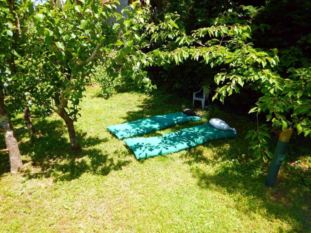 Apartament 80 M2 Independant 4 Personnes Direct Gare Ou Aeroport Jardin Piscine Tuluza Zewnętrze zdjęcie